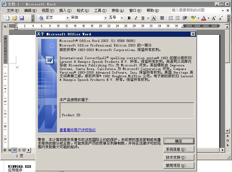 microsoft office powerpoint 2003.exe
