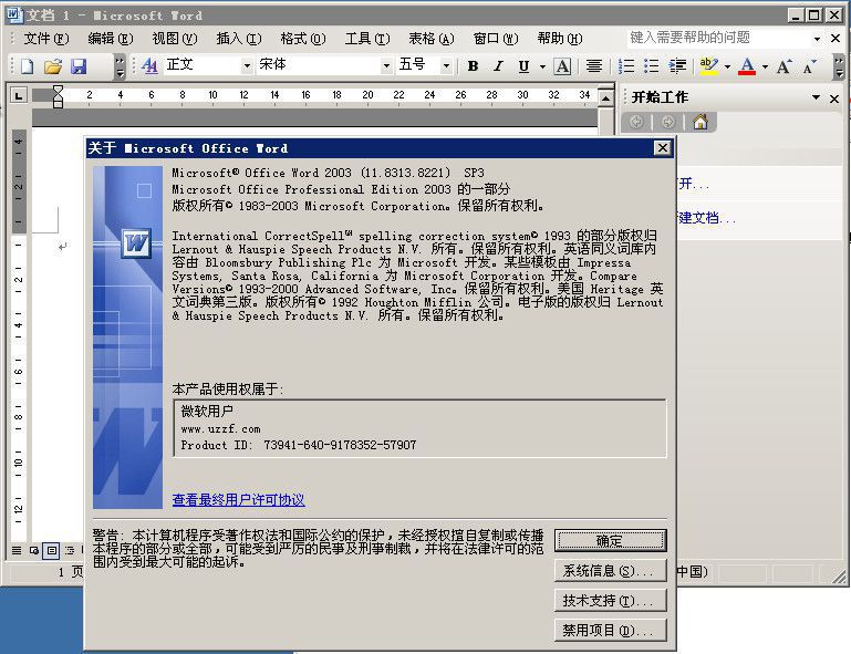 Microsoft Office 2003 SP3ĺһͼ5