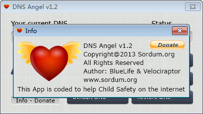 DNS˹(Dns Angel)ͼ1