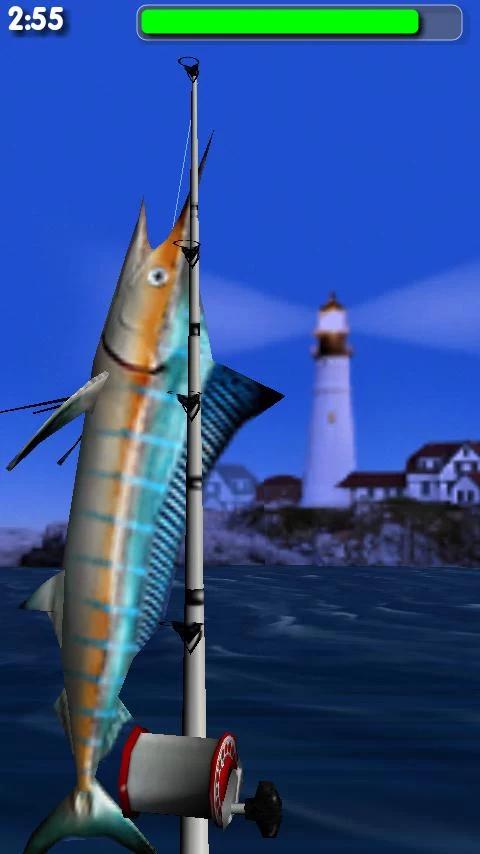 Big Sport Fishing Lite(3D~Α)؈D