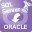 SQL Server转Oracle数据库