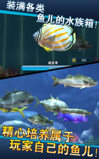 钓鱼发烧友内购破解版截图