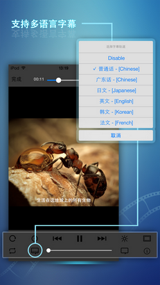 ܲiPhone(Media Player)ͼ