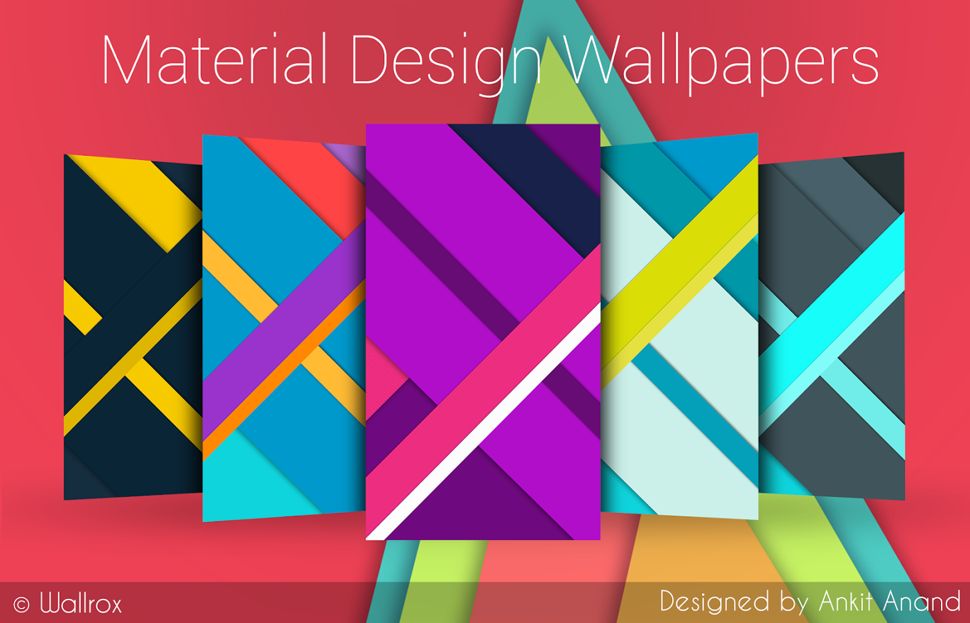 Wallrox(Material Designڼ)؈D