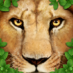 ռʨģ(Ultimate Lion Simulator)3.08.312 ׿ڹر