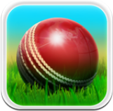 Cricket 3D(ս3D)1.3׿°