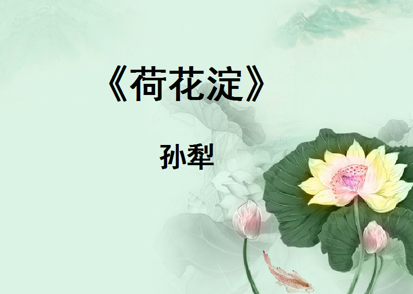 荷花淀教学课件