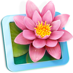 LilyView for mac1.1.2 Ѱ
