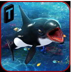 Killer Whale Beach Attack 3D(ɱ˾̲3Dر)1.0 ޸İ
