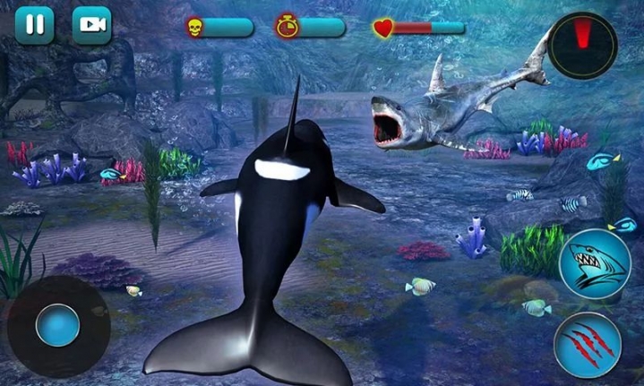Killer Whale Beach Attack 3D(ɱ˾̲3Dر)ͼ