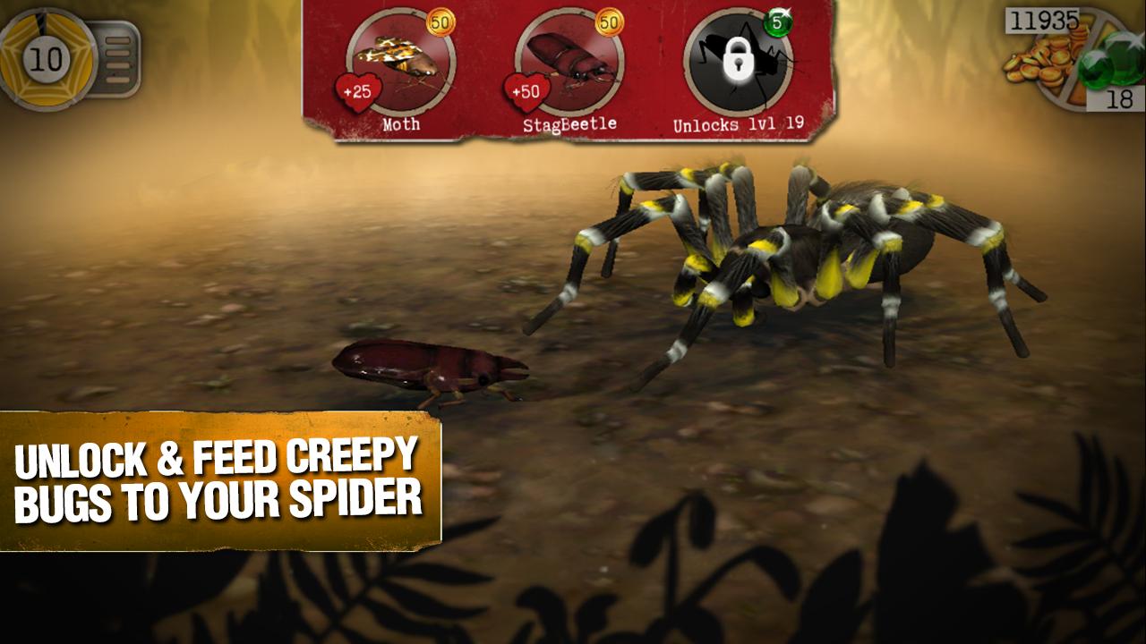 Scary Spiders(µ֩)ͼ