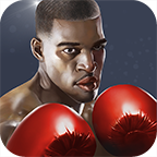 Punch Boxing(ȭ֮)1.0.8 ׿ڹر