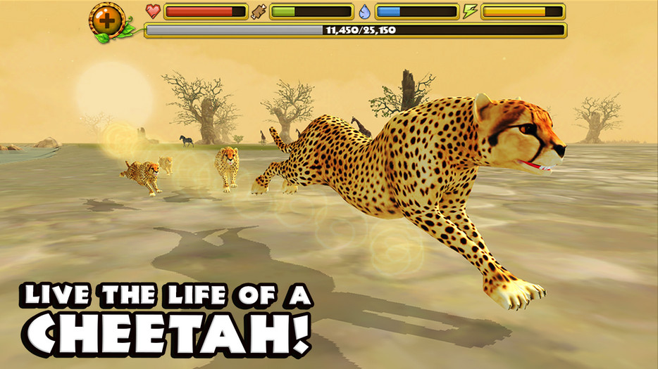 Աģ(Cheetah sim)ͼ