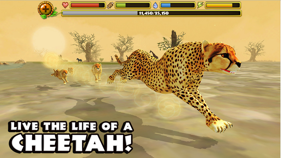 Աģ(Cheetah sim)ͼ