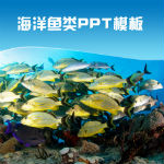 蓝色海洋世界鱼类介绍旅游主题ppt模板