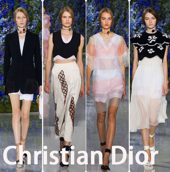 ϰ(Christian Dior)2016ķװpptͼ0