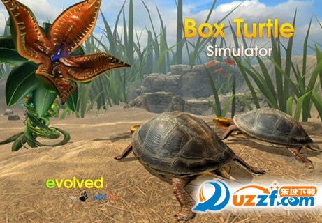 ģ(Box Turtle Simulator)ͼ