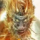 ��׿ţ��1.0 ����Ȩ�ƽ��