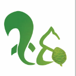 ��������app2.0 ��׿���°�