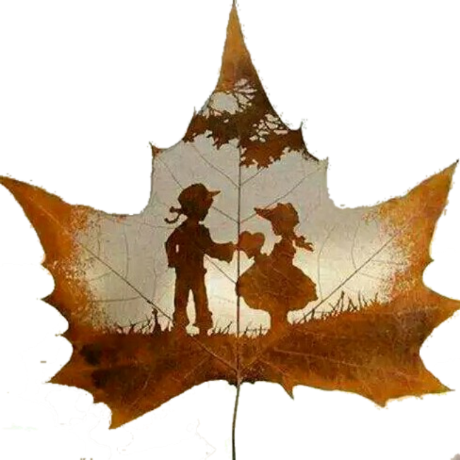 �οռ䰲׿��4.0 �����ֻ���