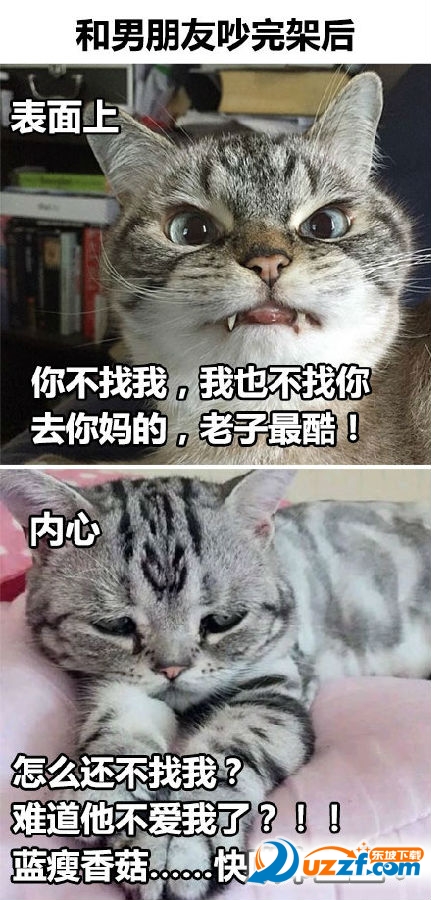 萌猫故作镇定表情包完整无水印版