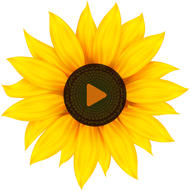 ��ѩֱ��app1.0 ��׿��