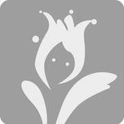 �ڰٺ�ֱ��1.0.0 ��׿��