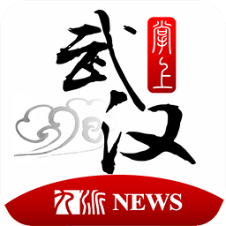 �����人ͶƱapp4.1.0 ��׿��