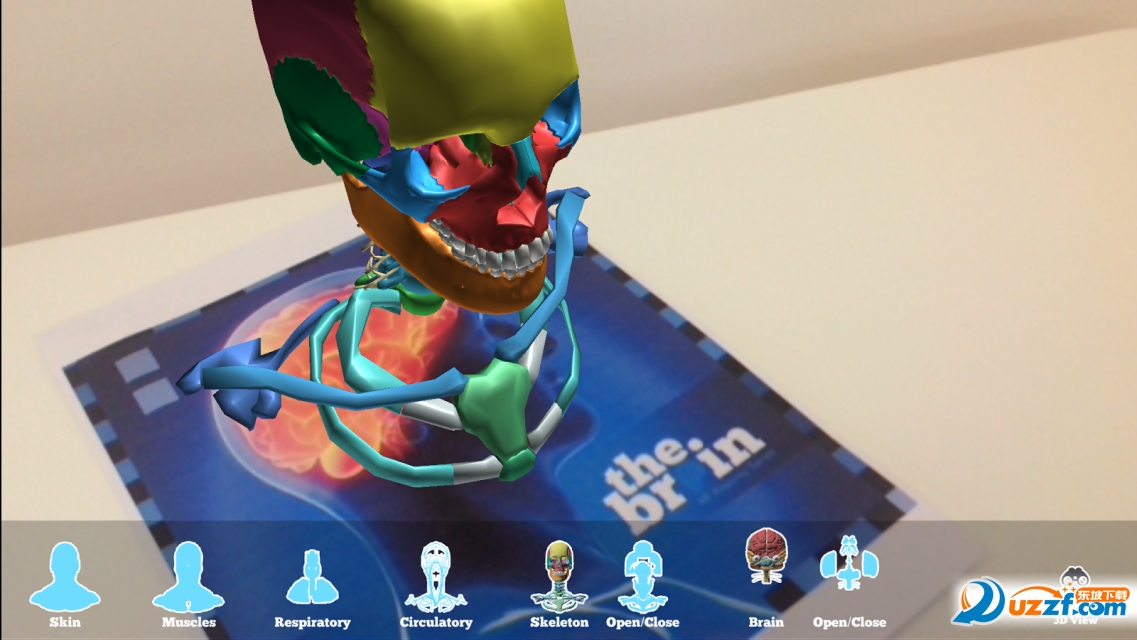 The Brain AR App(Խ)ͼ