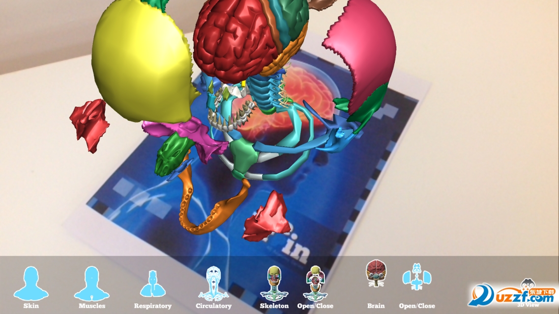 The Brain AR App(X)؈D