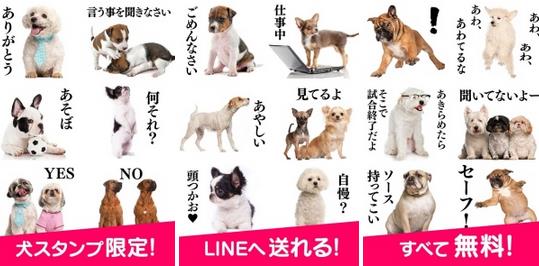 Dogs(Ȯͼռapp)ͼ