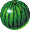 (watermelonprober)2.2 ׿°桾app