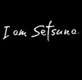 ɲ(I am Setsuna)ȫͨش浵