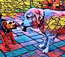 Prisma������ͼ�������ٰ�1.0��׿��