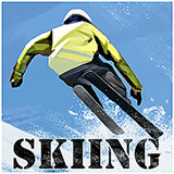 Fancy Skiing VRv1.0 ɫѰ