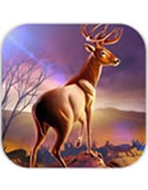 Hunt 3D(3Dر)1.7 ׿ر