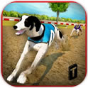 ؼ(Dog Race Stunts 2016)1.3 ׿Ѱ