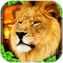LionSimulator(ʨģⰲ׿)1.0Ӣ