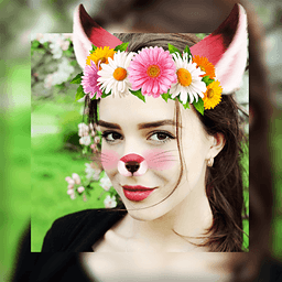 FaceЧ(snap filters)1.0 ׿Ѱ