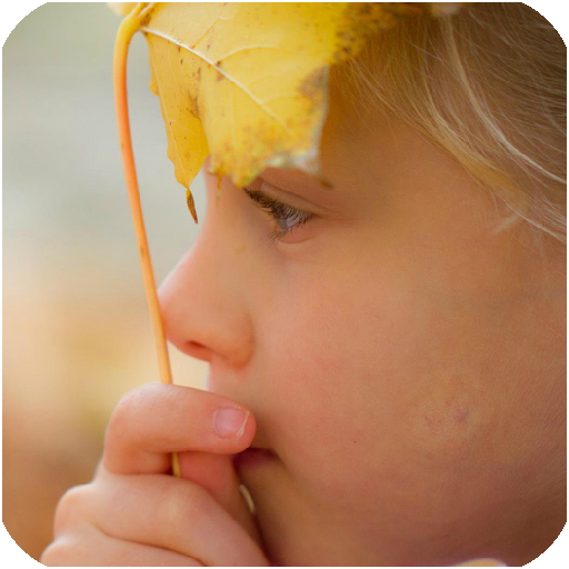 �ξ��ܹ����β�ѯ2.0��׿��Ѱ�