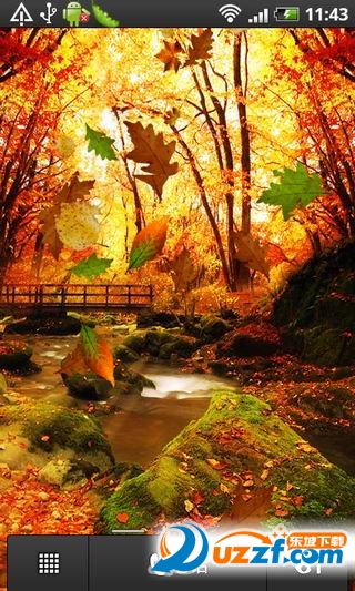 Autumn Live Wallpaper(ɫ춯ֽ̬app)ͼ2