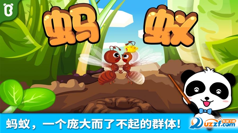 宝宝认蚂蚁截图