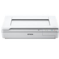 ɨEpson DS-50000