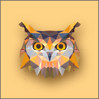 èͷӥ����1.0.1 ��׿��