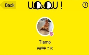 ����ץ����