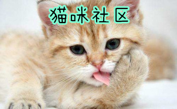 猫咪社区软件合集