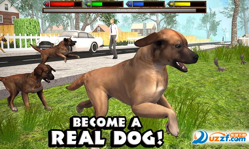 ռģ(Ultimate Dog Simulator)ͼ