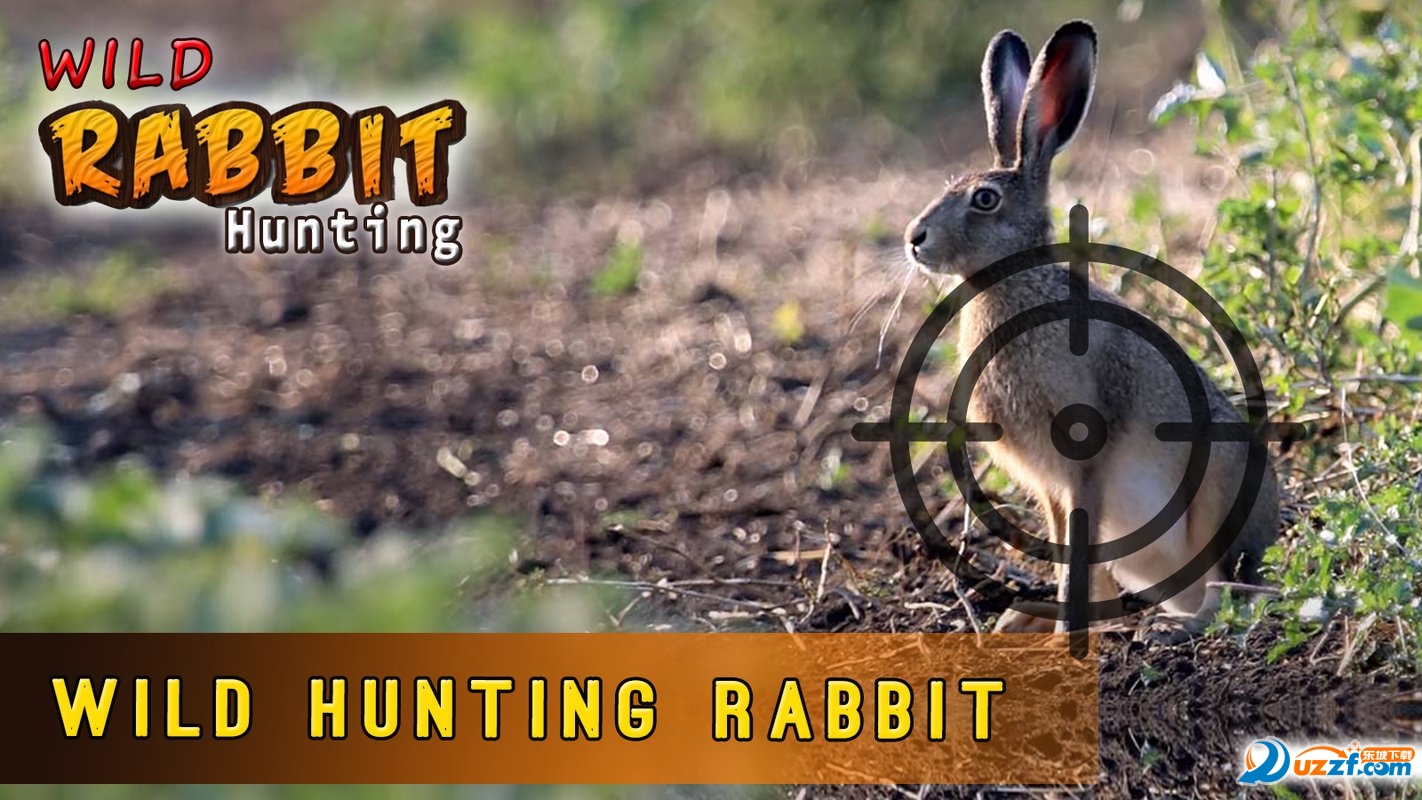 Rabbit Hunting Challenge(ս)ͼ