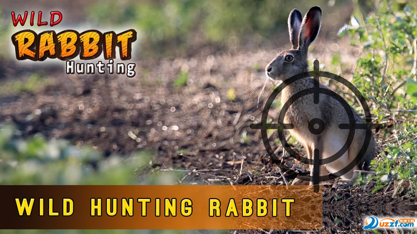 Rabbit Hunting Challenge(C)؈D