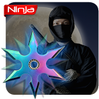 Ninja Spinner1.0׿
